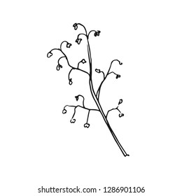 branch vector doodle sketch isolated on white background