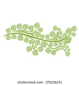 Branch vector illustration