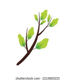 Branch Vector Illustration Icon Colorful