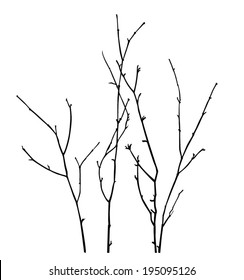 Branch Vector Silhouette