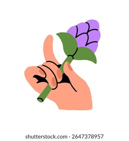 Ramo de flores silvestres violetas na mão humana. Galho de prado ou planta de jardim florescente roxo. A pessoa segura um ramo de flor elegante, presente floral. Ilustração de vetor isolado plano sobre fundo branco