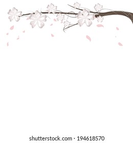 branch with white flowers