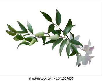 Branch with white flowers. Made in the technique with a gradient mesh.