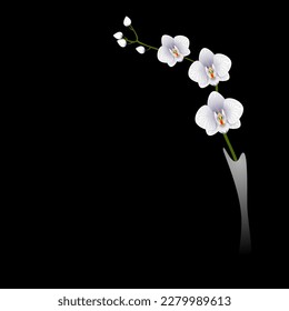 Branch of white orchids in a vase on a black background.