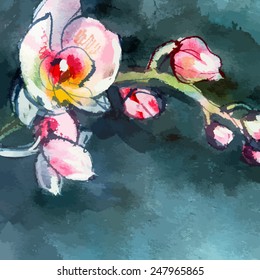 branch of white-pink orchids on a dark blue background/ watercolor painting/ vector illustration