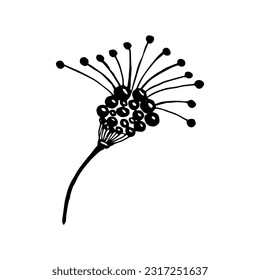 Branch of a wild flower with grains. Black and white simple hand drawn illustration. Suitable for creating printed products