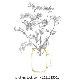 Branch of wild plant Vicia cracca. Tufted Vetch or Vicia cracca, vintage engraved illustration. Bouquet of hand drawn flowers and herbs. Botanical plant illustration