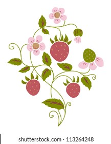 branch of wild strawberry with fruits and flowers on white background