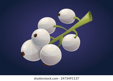 Branch with wild white currant berries. Vector isolated cartoon illustration.