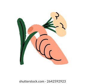 O ramo de flores silvestres com flores pequenas está na mão humana. A pessoa segura um galho de prado florescente. Primavera de Achillea ou Yarrow. Presente floral. Ilustração de vetor isolado plano sobre fundo branco