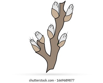 Branch of willow icon isolated on white, doodle kids hand drawing art, eco logo, sticker, vector stock illustration