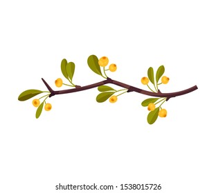 Branch with yellow berries. Vector illustration on a white background.