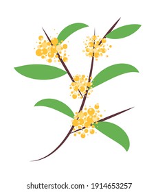 rama de primavera mimos amarilla