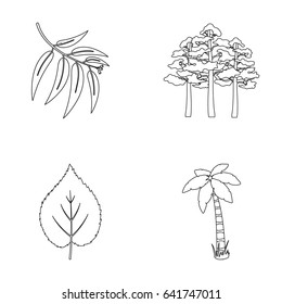 Branch zucalyptus, pine, leaf, palm.Forest set collection icons in outline style vector symbol stock illustration web.