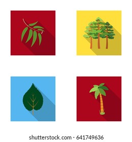 Branch zucalyptus, pine, leaf, palm.Forest set collection icons in flat style vector symbol stock illustration web.