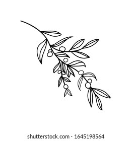 Branche with berry isolated on white background. Forest plants. Template with copy space for wedding invitations, greeting cards and prints. Outline. Vector stock illustration.