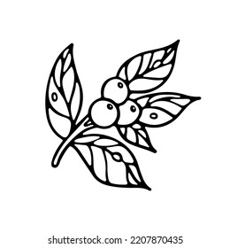 Branche with Leaves and Berries outline doodle Vector illustration. Isolated on white background. Botany Design for Coloring book