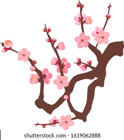 The branche of plum blossoms 05