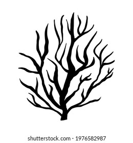 Branched tree. Black and white vector isolated doodle illustration. Silhouette of a bush with crooked branches. Single icon