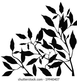 Branches.
