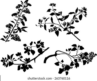 Vector Hand Drawn Floral Bunch Stock Vector (Royalty Free) 1838089621