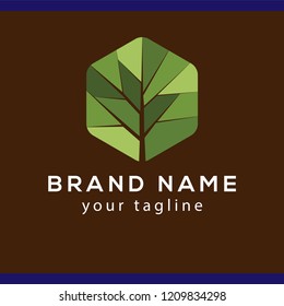 branches abstract leaf logo vector element. branches logo template