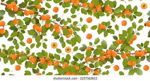 Zweige Aprikosenbaum mit reifen Früchten schön. Gartenpflanze mit genießbarer Ernte. Nahtlose Musterzusammensetzung. Zweig mit Laub und Laub. Einzeln auf weißem Hintergrund. Vektorgrafik
