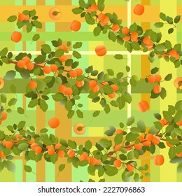 Branches apricot tree with ripe fruits. Background picture. Garden plant with edible harvest. Seamless pattern composition. Branch with foliage and leaves. Vector