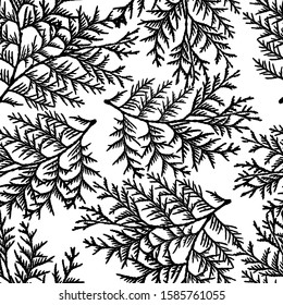 The branches of the arborvitae in winter black seamless white background. Decorative greeting card happy New year and merry Christmas. Advertising banner for trade and sale