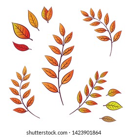 branches with autumn leaves set on a white background. Vector illustration