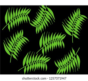 branches of bamboo on a black background