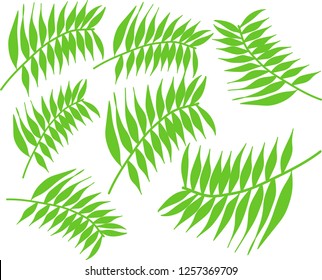 branches of bamboo on a white background
hand drawn illustration