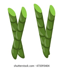 Branches of bamboo stem board vector green foliage