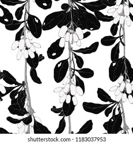 
Branches of barberry. Vector seamless pattern. Hand drawn monochrome illustration on a white background.