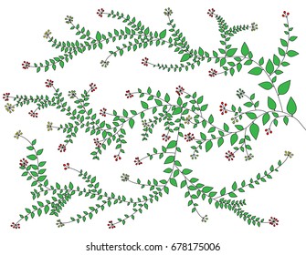 The branches are beautiful flowers.- illustration, Hand drawn, plant  