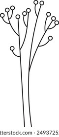 Branches With Berries Outline Vector Illustration
