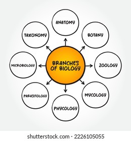 Branches of biology mind map text concept for presentations and reports