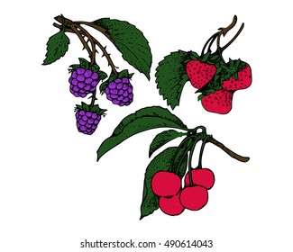 Branches of blackberries, strawberries, cherries seamless pattern, berry background. Painted fruit, graphic art, cartoon. For the design of the fabric, print, wallpaper, wrapping. Vector illustration
