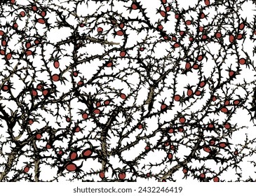 Ramas de Blackthorn. Dibujo vectorial