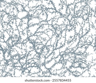Branches of Blackthorn. Vector drawing