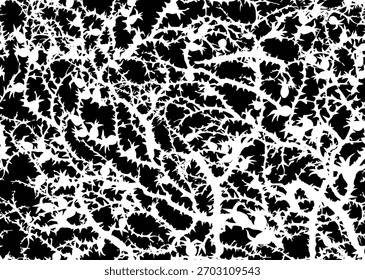 Branches of Blackthorn. Vector drawing