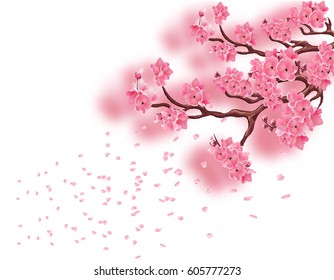Branches with a blooming pink cherry and not with focused. Sakura. The petals fly in the wind. Isolated on white background. Vector illustration