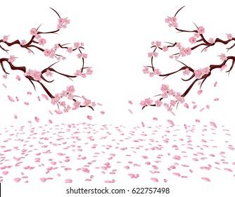The branches of a blooming pink cherry on both sides of the picture. Sakura. The petals fly in the wind and lie on the ground. Isolated on white background. Vector illustration