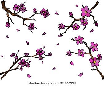 Branches Blooming Sakura Pink Flowers Decorative Elements