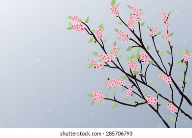 The branches of a blossoming tree with lots of flowers and leaves. Vector illustration.