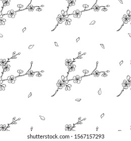 Branches of cherry blossoms and fallen petals. Line drawing. Seamless pattern. Vector illustration.
