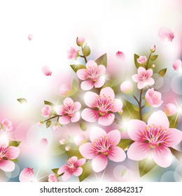 Branches of Cherry Blossoms in front of Blurred Background
