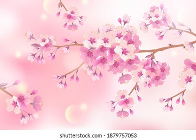 Branches of cherry blossoms on a soft light pink background. For Easter and spring cards with space for text. Floral spring abstract nature background. Branches with pink flowers.