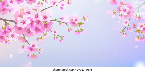 Branches of cherry blossoms on a soft light blue sky background. For Easter and spring cards with space for text. Floral spring abstract nature background. Branches with pink flowers.