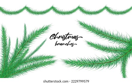 Branches of a christmas tree and border